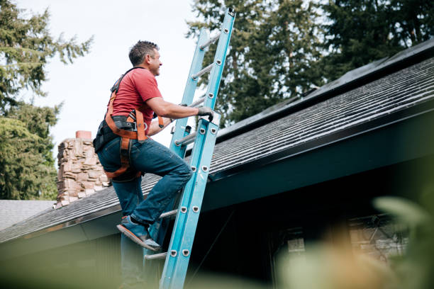 Best Roof Leak Repair  in Buena Vista, CO